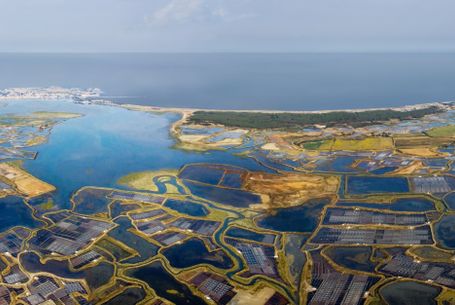 Marais salants de Guérande