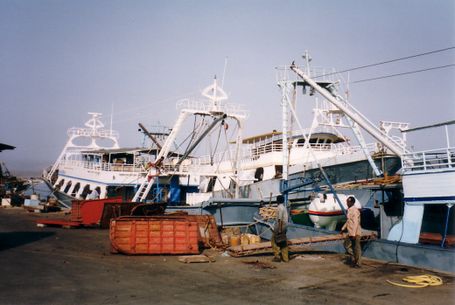 Marais salants de Guérande